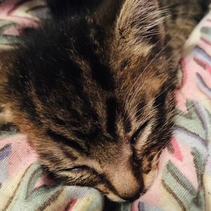 Meet your Posher, Zoe